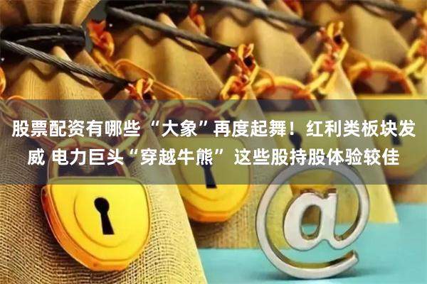 股票配资有哪些 “大象”再度起舞！红利类板块发威 电力巨头“穿越牛熊” 这些股持股体验较佳